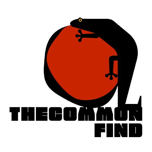thecommonfind